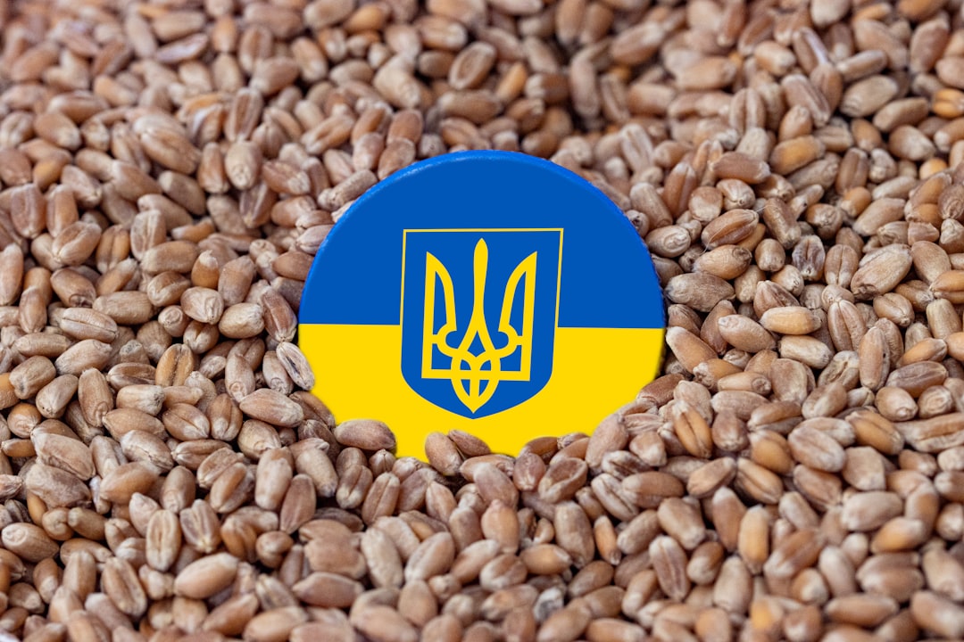 Кибербезопасность для малого бизнеса 2026: 10 минимальных шагов